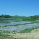 삽교읍041 이미지