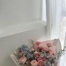 아벨리스 플라워