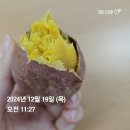 송도에 꽃핀닭 | 듀얼버닝에서 홀로서기한 12월의 식단기록 2편 인바디결과포함
