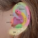 시아샵 네이버블로그