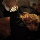 흑꼬 카카오 검색결과