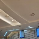 도계농장 | 11월 강원도 가족여행 숙소 후기 쏠비치삼척 스탠다드 스위트 침대 온돌방 키친 저층 3층뷰