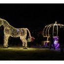 고요한 아침 이미지