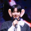 하용