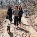 [사진] 날씨가 너무 좋아 아이들도 봉사자들도 신났던 '리버하우스 산책봉사' 이미지