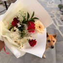 지인24시셀프세차장 | [공지] [화순꽃집 추천]24시꽃 플라워오브유 화순점 후기🌹