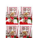 까까보개 이미지