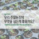 영수농장 이미지