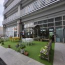 명지애견 | 부산강서구맛집 브런치 앤 디너 테라비 명지 본점 애견동반 식당 방문 후기