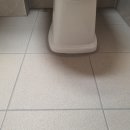 이지디자인 이미지