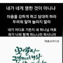 생명의 만나: 성경 말씀대로 살아가면 넘어지지 않습니다. 시119:165 이미지