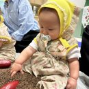 이마트 봉담점 | 봉담 이마트 문센 후기 (반짝반짝 똘망이 김수민강사)