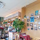 석촌호수로 | 뉴질랜드스토리 석촌호수 소개팅 맛집 방문 후기 파니니 추천