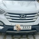 쑥고개로 | 3월 (4) ~주말편~ 극강의 꽃놀이 해볼게요