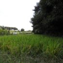 전대1리마을회관 이미지