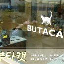 부타 | [마곡/발산] 마곡고양이카페 🐈‍고양이를 '부타캣' 후기