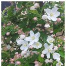 송아리농장 이미지