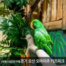 오마이주