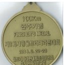 2014 3월 세종시울트라마라톤 100킬로 대회 참가 완주 이미지