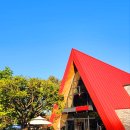 캠프우든브릿지 이미지