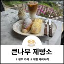 큰나무 | 청주 큰나무제빵소 후기, 크림소금빵과 화이트롤 먹고 온 청주베이커리