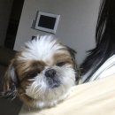 콩순이네 이미지