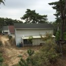 덕적면 면사무소 이미지