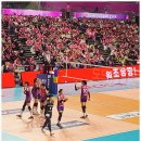 챔프 체육관 | 결정전 / 흥국생명 VS 정관장 삼산체육관 A5구역 131,132 /김연경선수 직관후기 좌석, 시야 &lt;챔프1차전&gt;