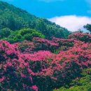 전라도 여행 전남 여행지 추천 담양 데이트 담양 명옥헌원림 이미지
