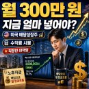 자금 월 300만 원, 미국 주식에 지금 얼마 넣어야 할까? 직장인 이책임의 배당성장주 수익률 시뮬레이션