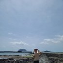 제주개과점 이미지