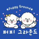 퍼피 그라운드 네이버블로그