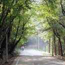 둘레길 동물병원 이미지