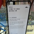엘웨일 | 동탄 아기 옷 추천 | 돌핀웨일 10개월 겨울 아기 옷 후기