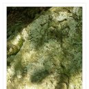 용동1리 이미지