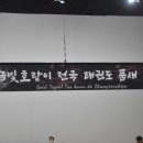 금빛 호랑이 태권도 이미지