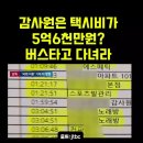 감사원이 사용한 택시비만 무려 5억 6천? 사용시간과 장소가 대체? 이미지