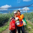 영보농장 이미지