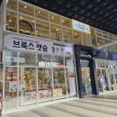 브룩스캣슬 | 부산 남포동 고양이 카페 브룩스캣슬 후기