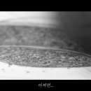 공감입시학원 - 강남구 삼성로 311 | 공감입시학원