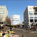 명지대학교 이미지