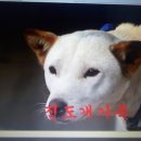 신기 이미지