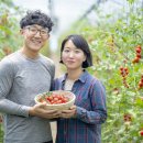 송재필 농장 이미지