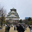 숲내음공원 | 도쿄 여행 코스 신주쿠교엔 우에노공원 센소지 일본 도쿄 벚꽃 오사카 후쿠오카