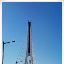 돌산초등학교 이미지
