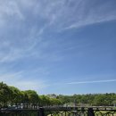 꽃동산 | 전주 겹벚꽃 철쭉 완산칠봉꽃동산 4월말 후기