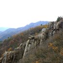 매산105 Daum카페