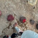 영하개 | 칠레 아타카마 간헐천 투어 후기 플라밍고 Geysers del Tatio