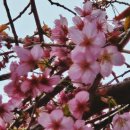 제일아트빌라 이미지