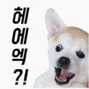 인디자인플러스